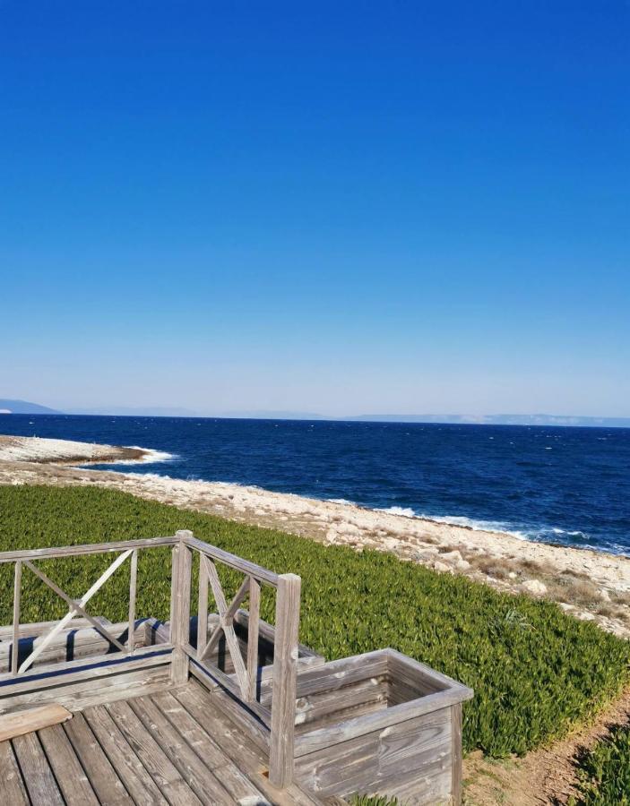 Apartment Andreas - Amphitheater - Pula Dış mekan fotoğraf