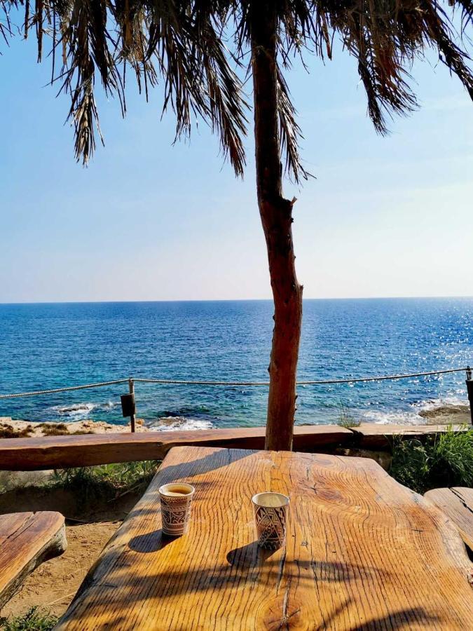 Apartment Andreas - Amphitheater - Pula Dış mekan fotoğraf