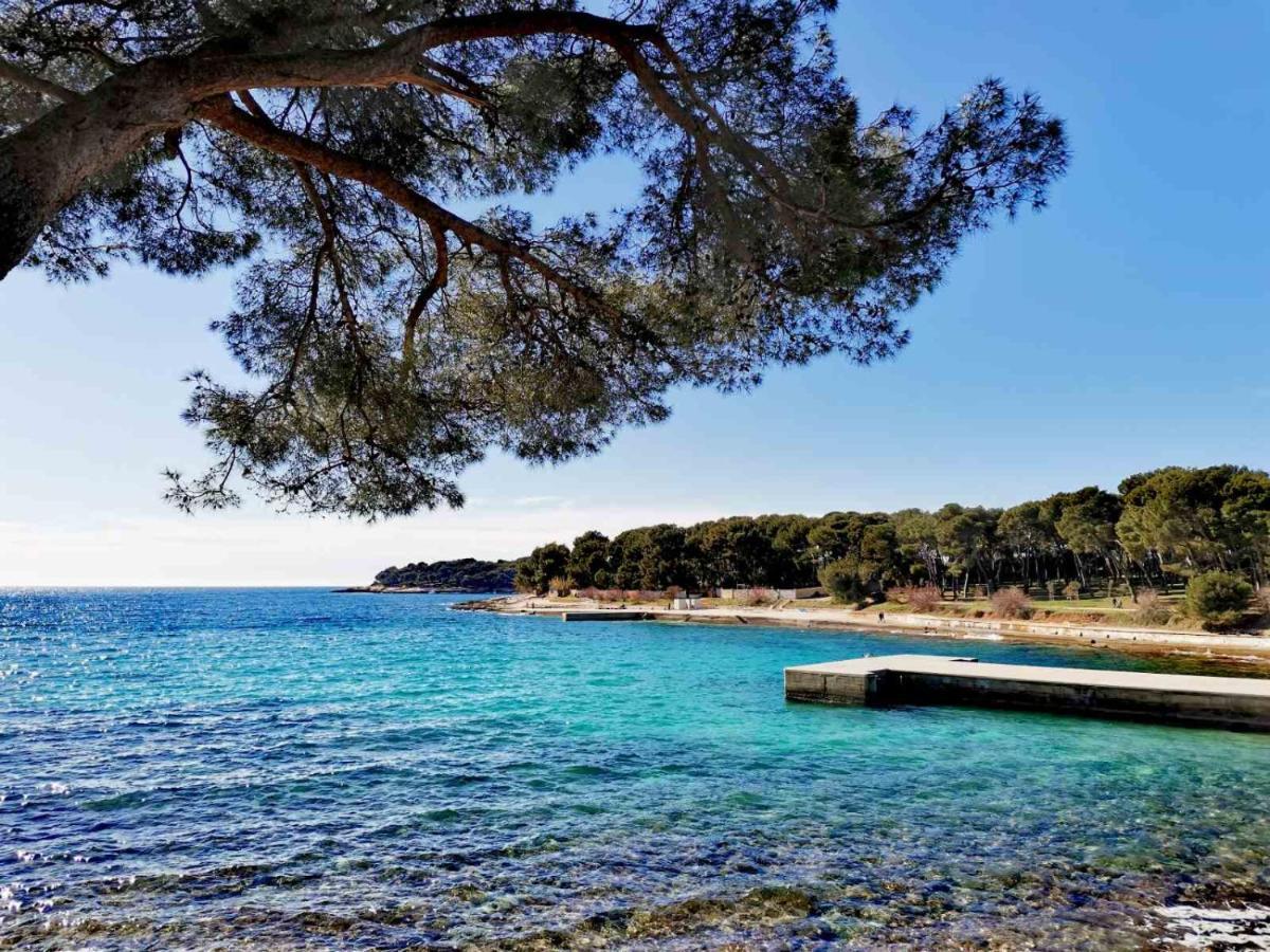 Apartment Andreas - Amphitheater - Pula Dış mekan fotoğraf